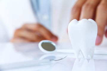 clínicas asisdent diente de muestra